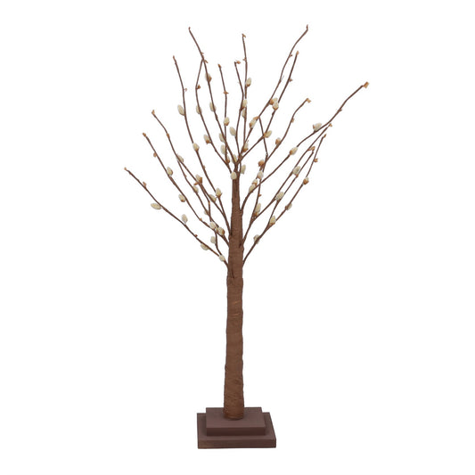 Pussy Willow Tree