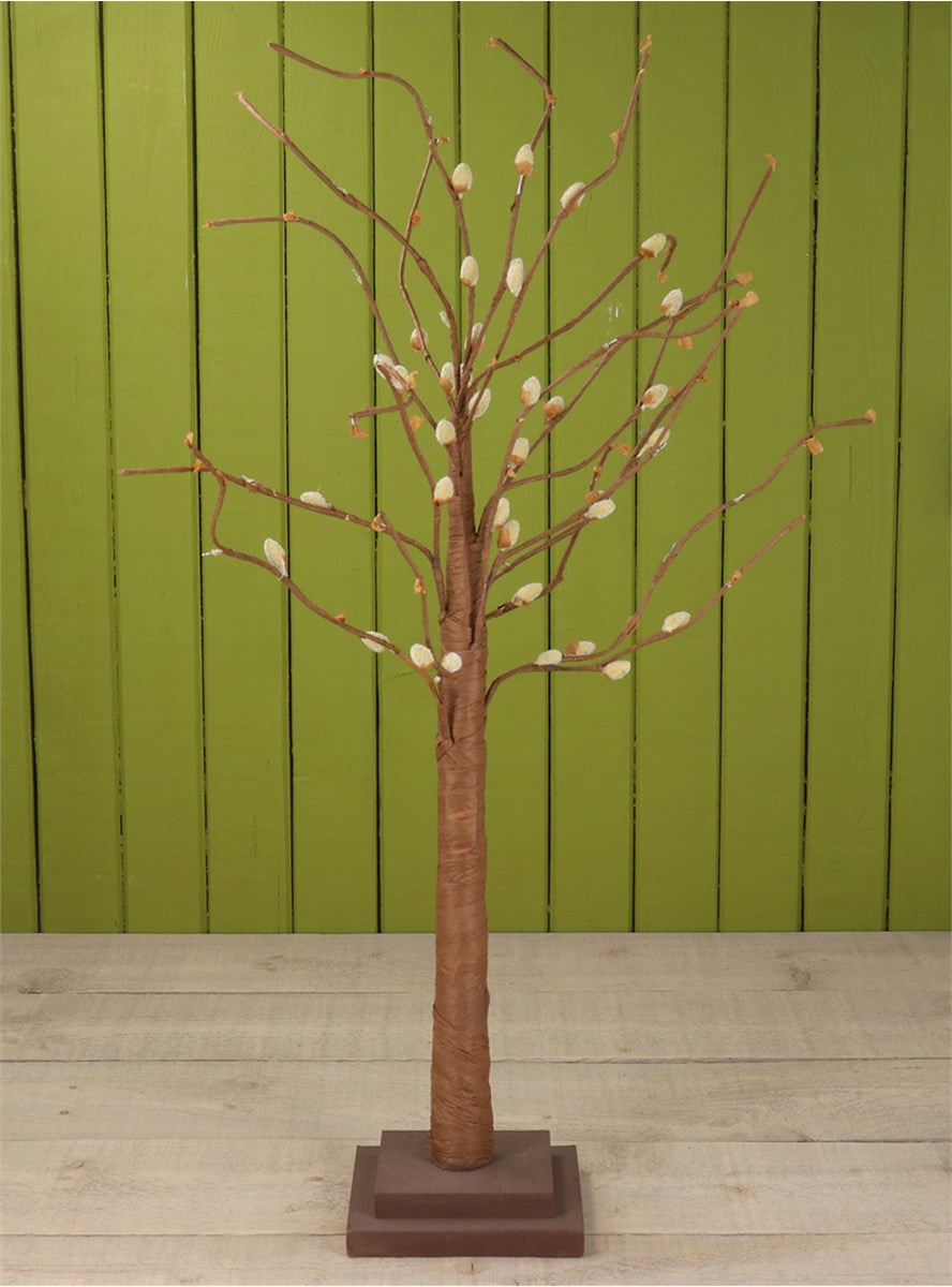 Pussy Willow Tree