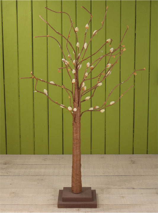 Pussy Willow Tree