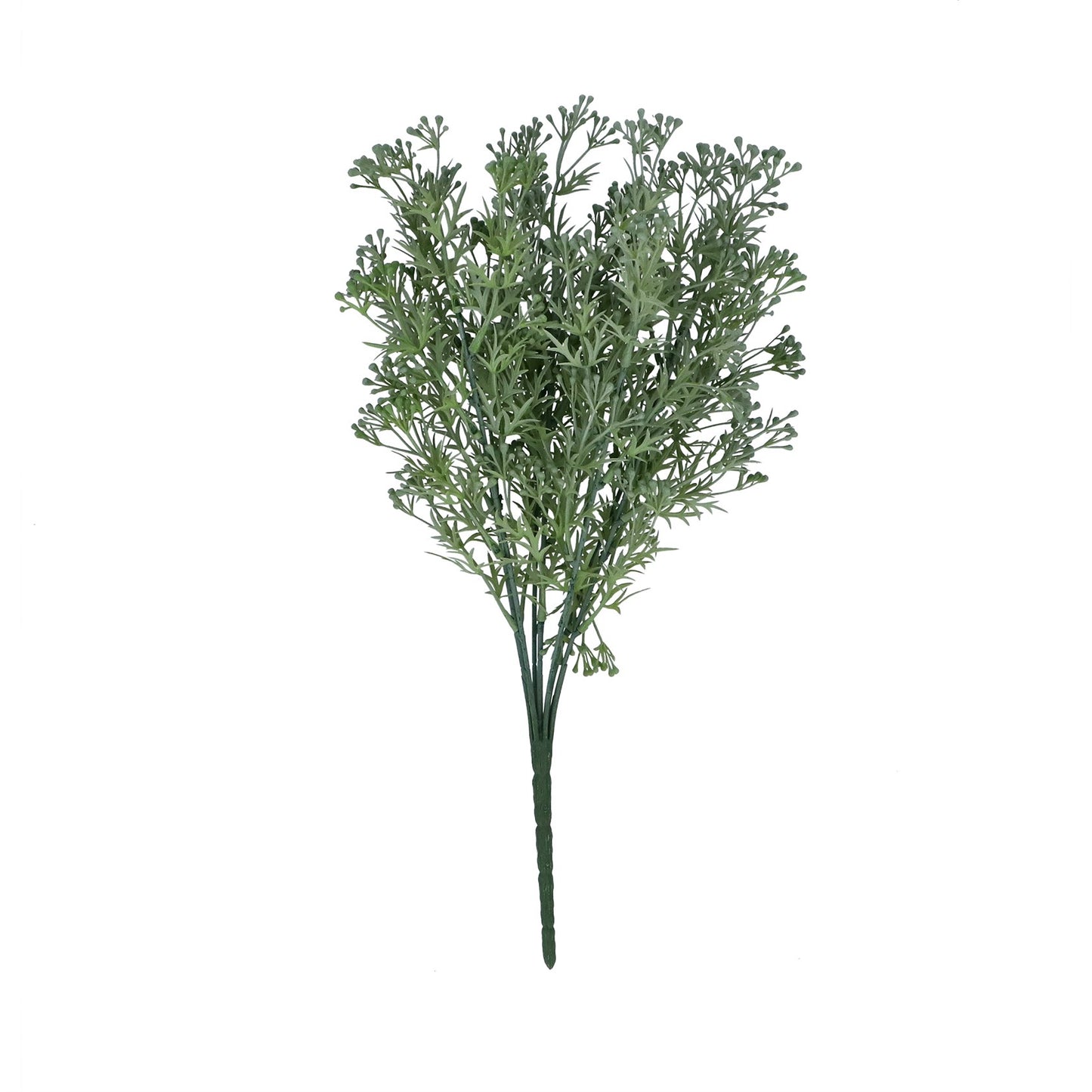 Bunch of Seed Dill