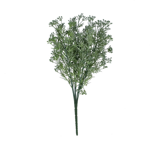Bunch of Seed Dill