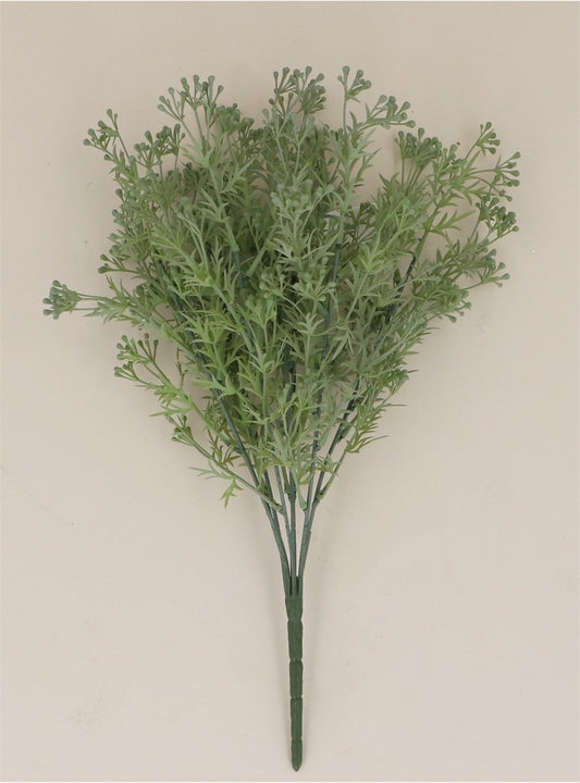 Bunch of Seed Dill