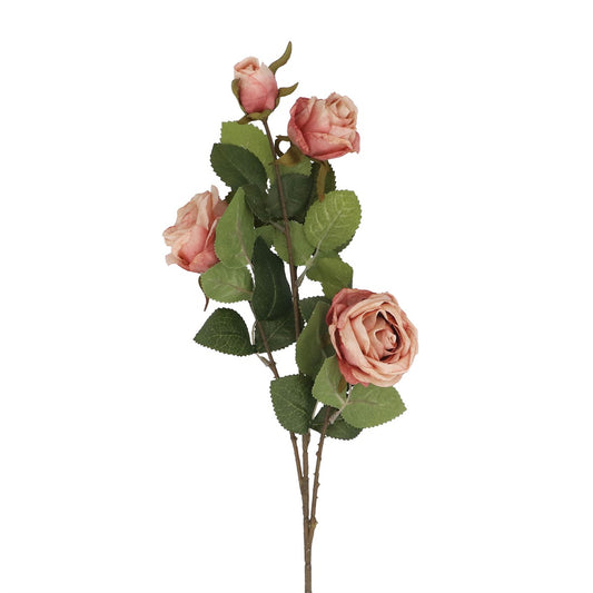 Antique Pink Roses