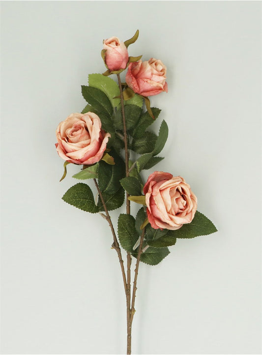 Antique Pink Roses