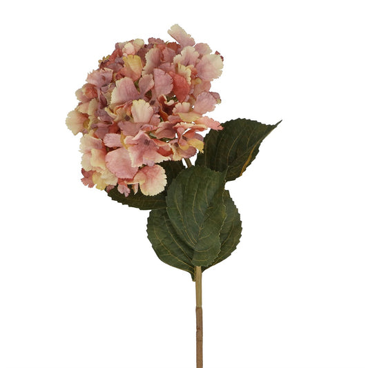 Antique Pink Hydrangea