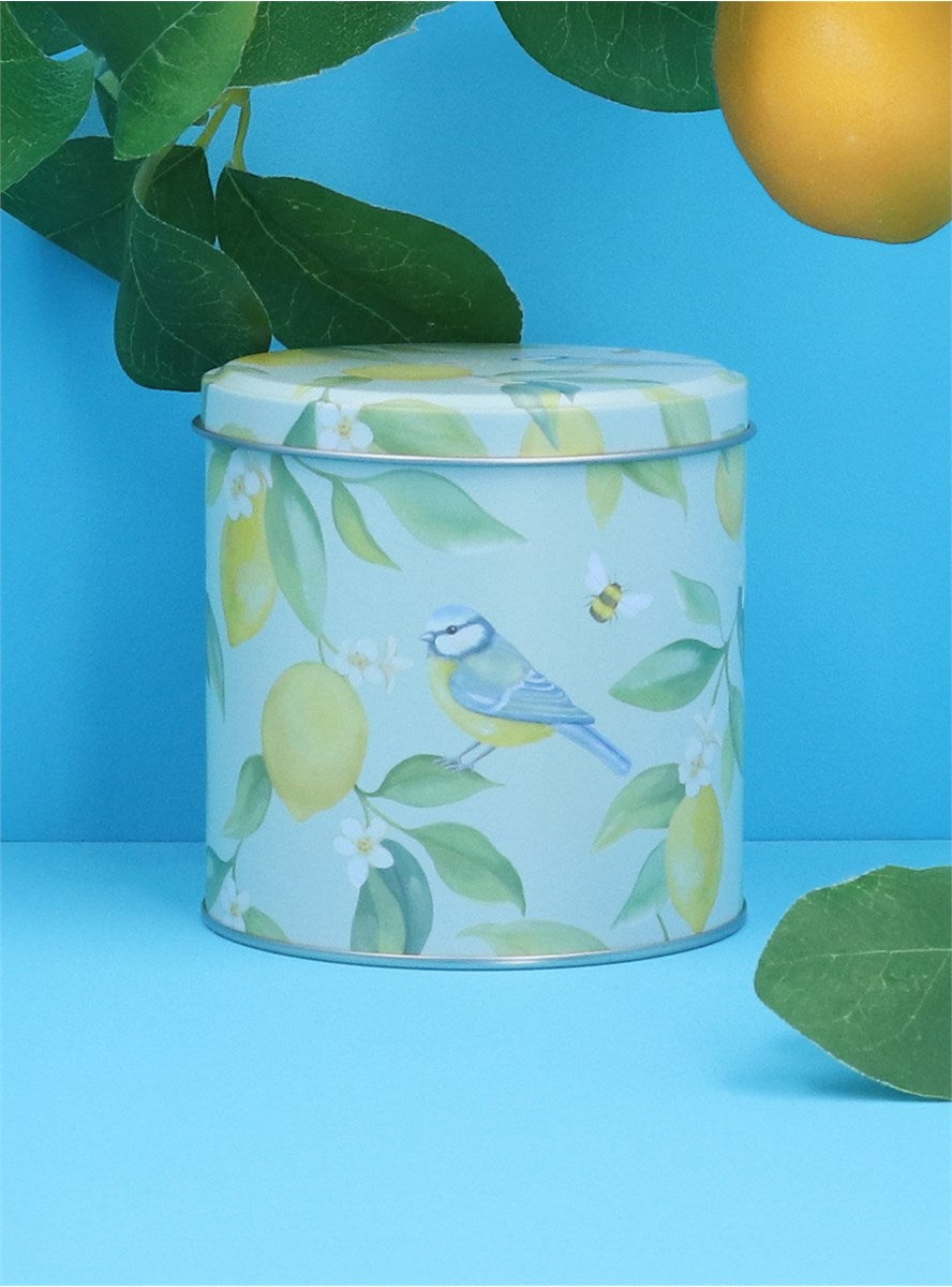 'Lemon & Blue Tits' Storage Tin