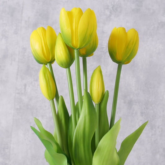 Bunch of Yellow Tulips