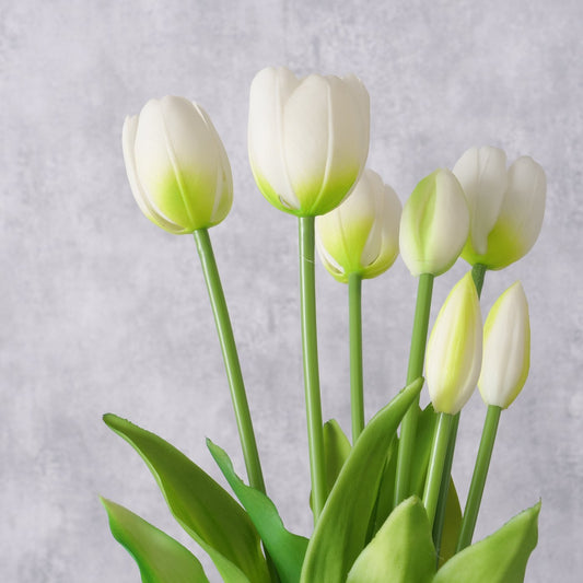 Bunch of White Tulips