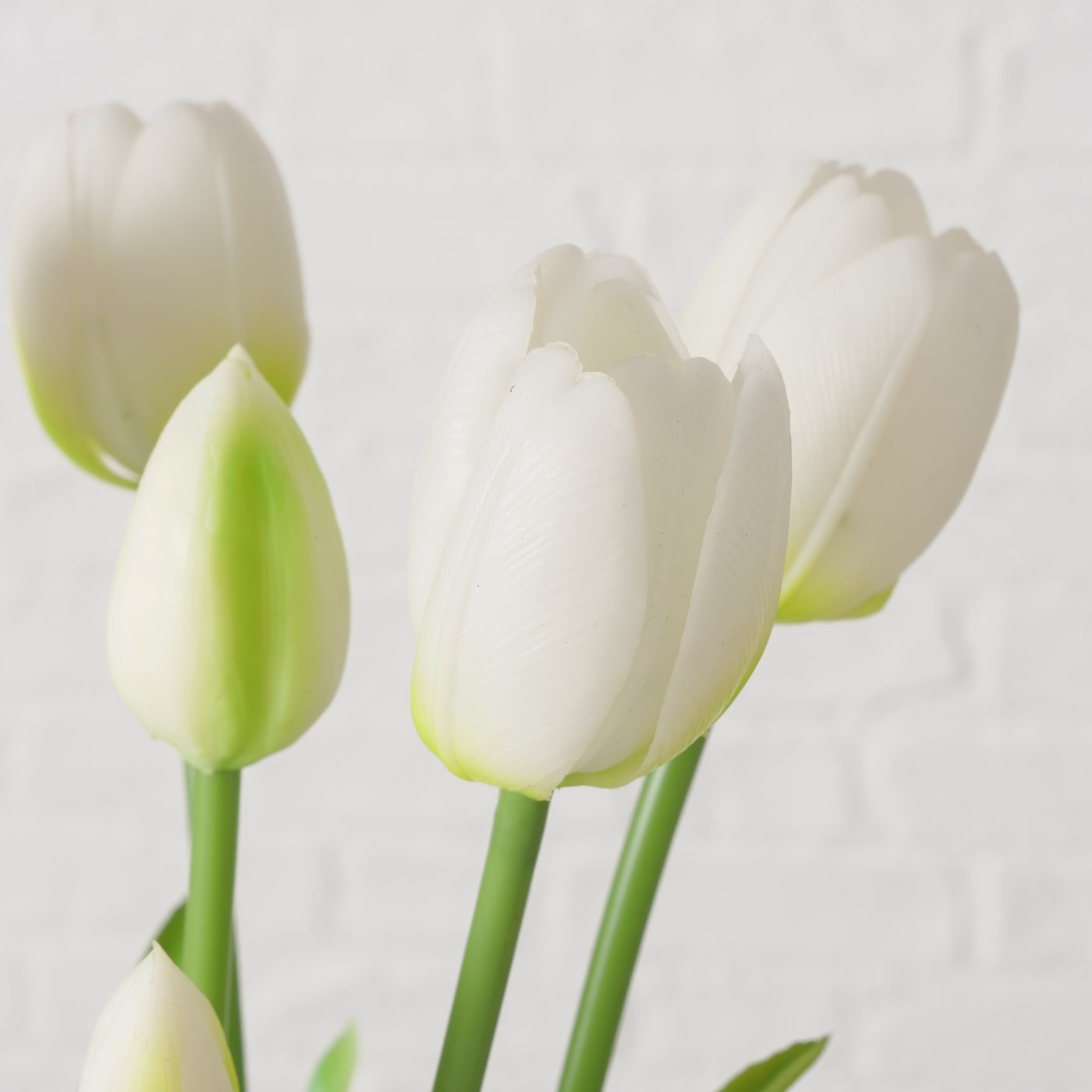 Bunch of White Tulips