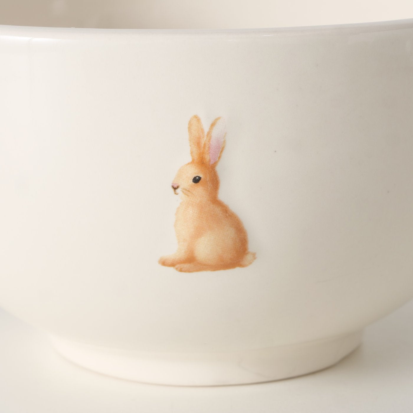 Melly Bunny Bowl