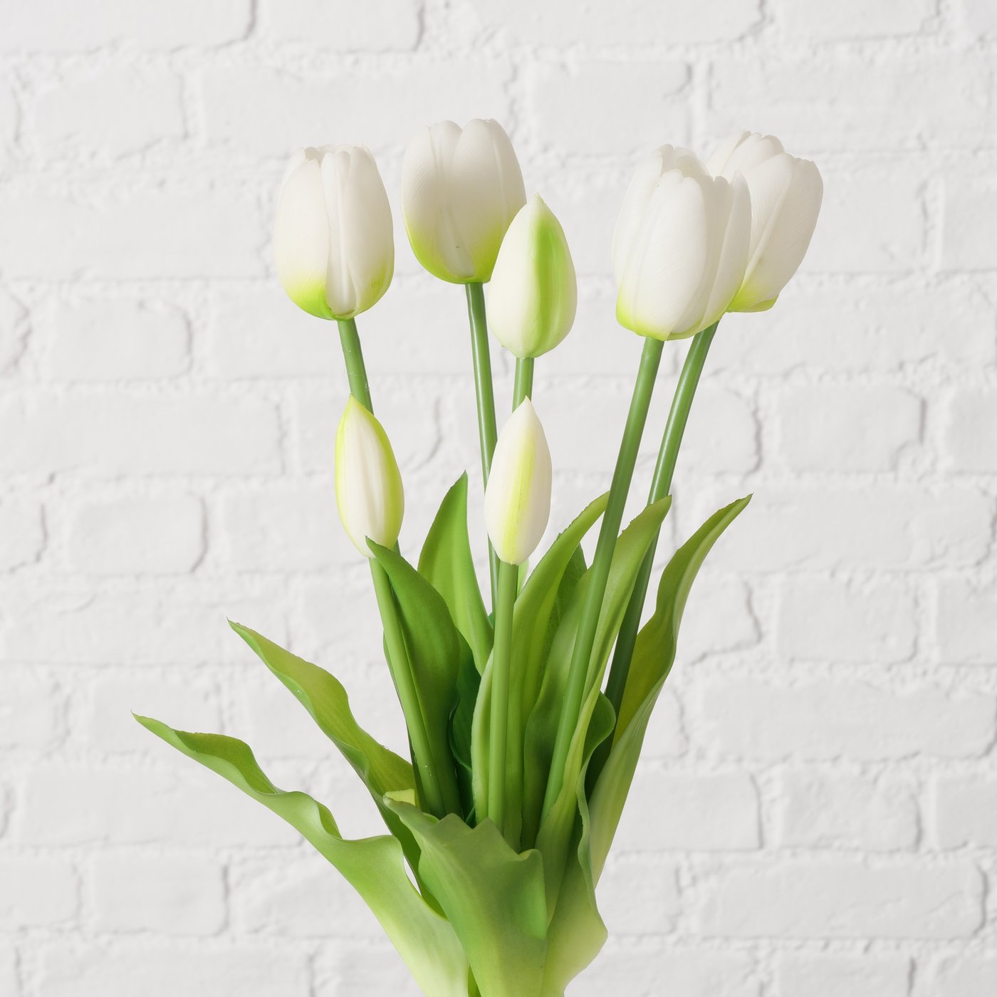Bunch of White Tulips