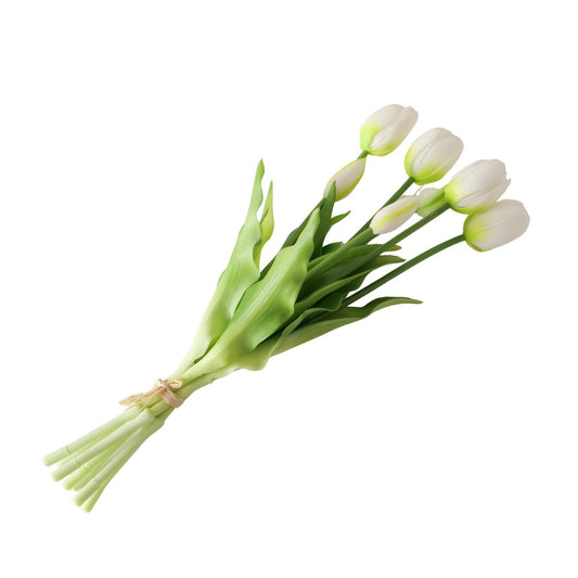 Bunch of White Tulips