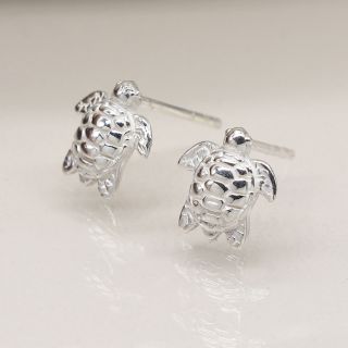 Silver Turtle Earrings