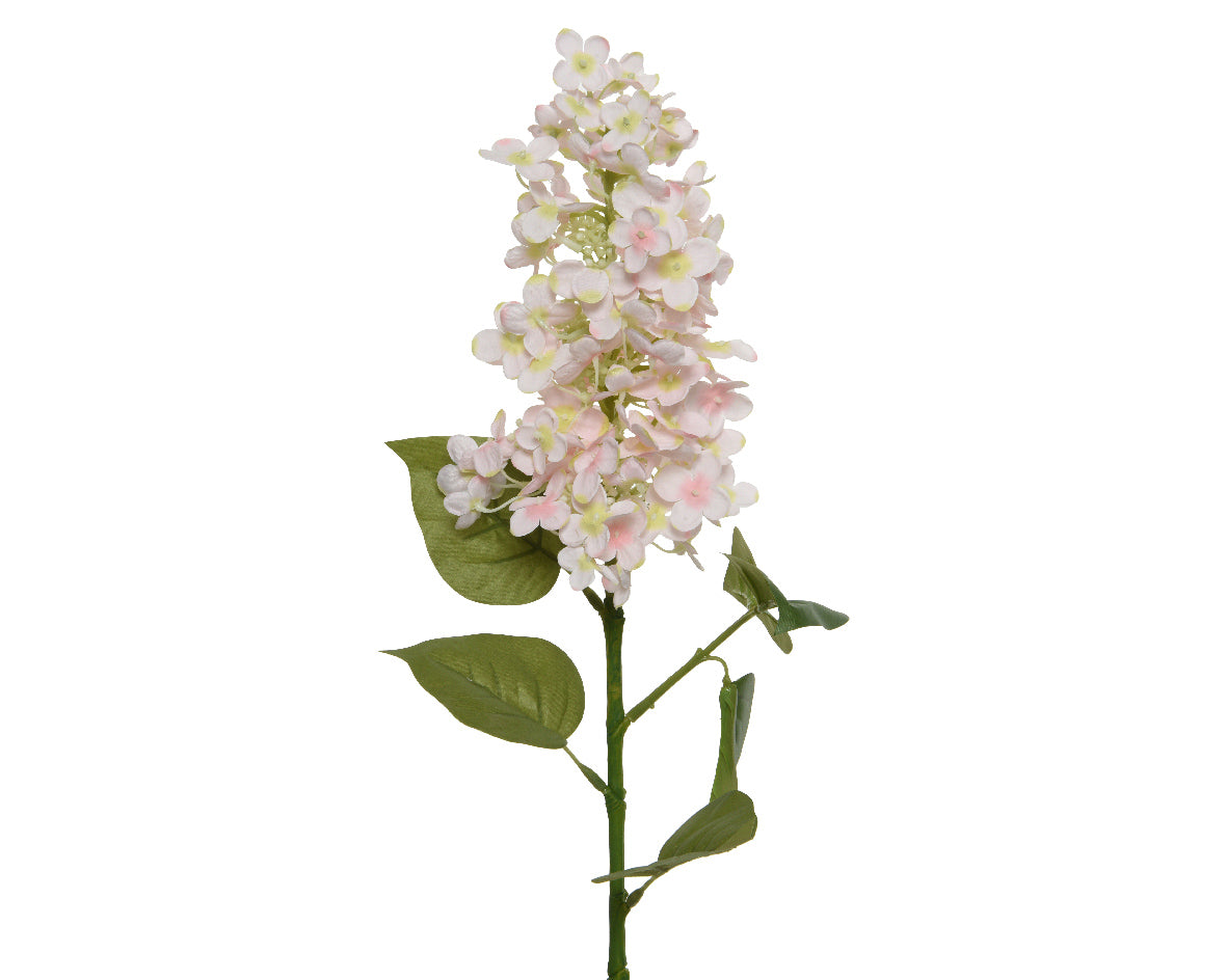 Soft Pink Lilac