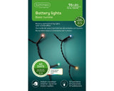 LED Battery Outdoor Lights - Multicoloured