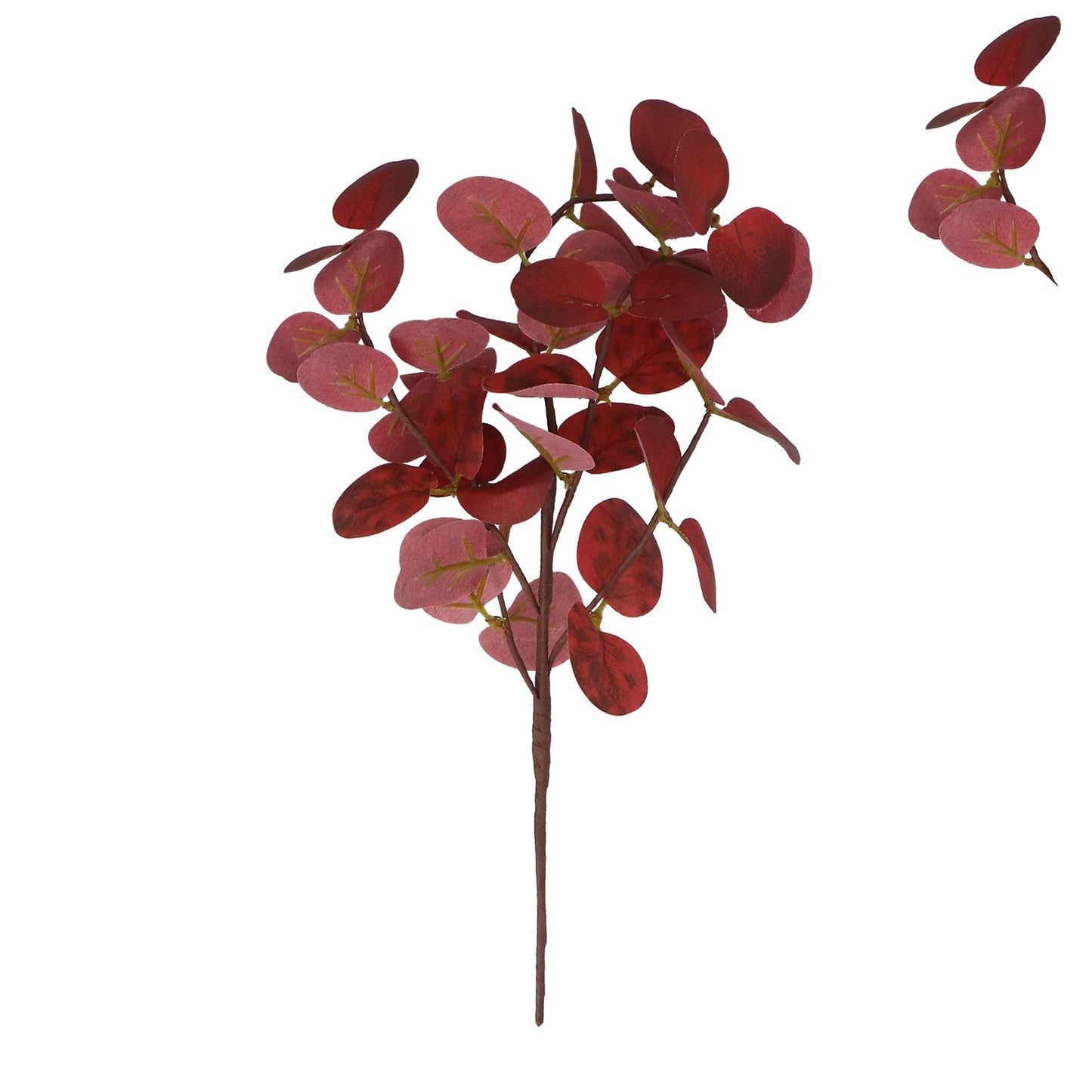 Burgundy Eucalyptus Pick