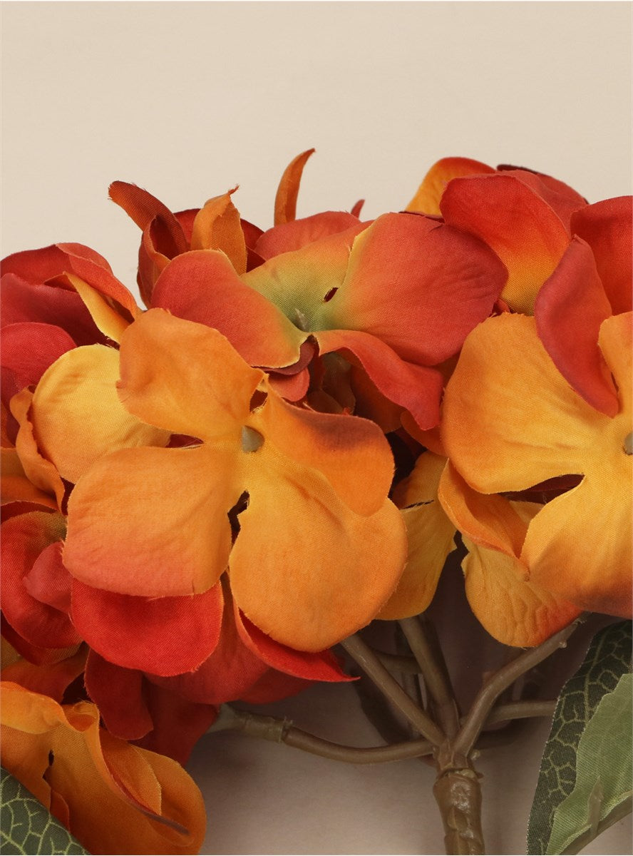 Antique Orange Giant Hydrangea