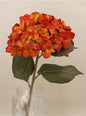 Antique Orange Giant Hydrangea