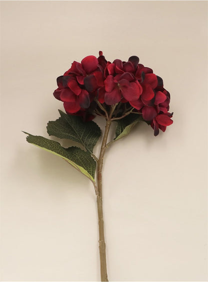 Antique Burgundy Giant Hydrangea