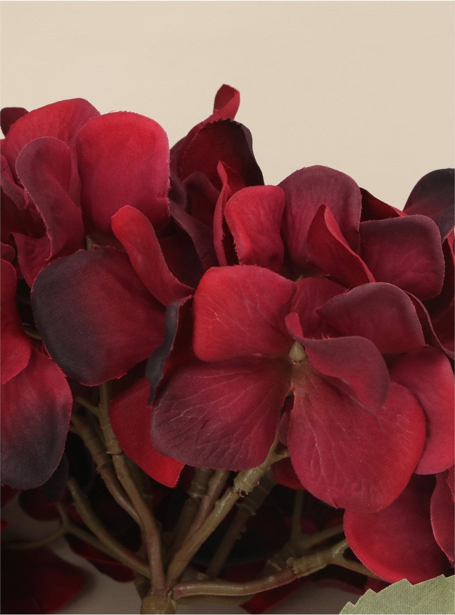 Antique Burgundy Giant Hydrangea