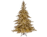 Gold Tiffany Fir - 6ft