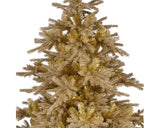 Gold Tiffany Fir - 6ft