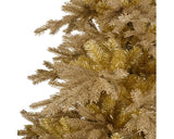 Gold Tiffany Fir - 6ft