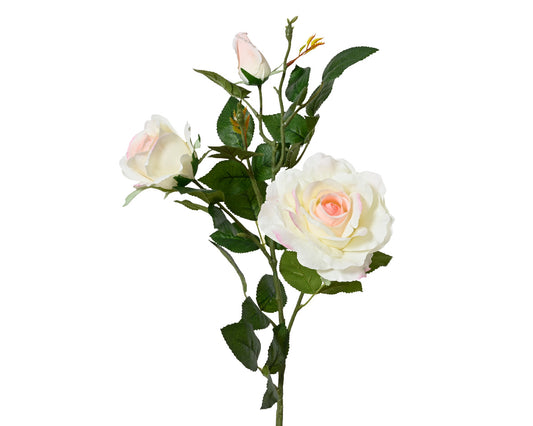 Cream Rose Stem