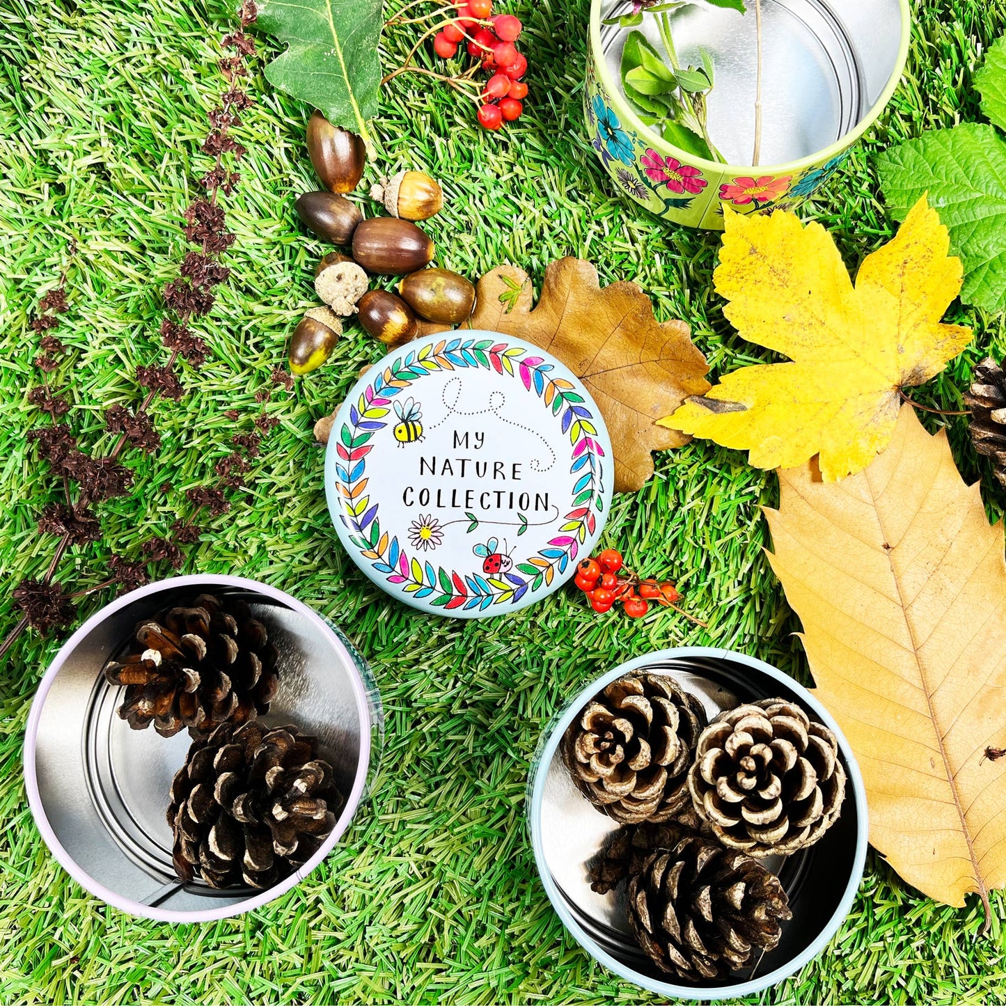 Stacking Tins - My Nature Collection