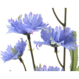 Cornflower