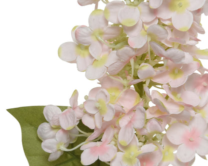 Soft Pink Lilac