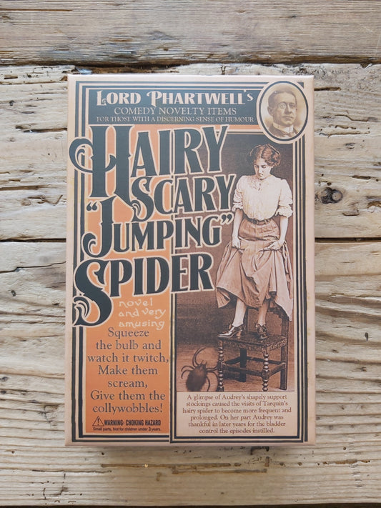 Hairy Scary Jumping Spider